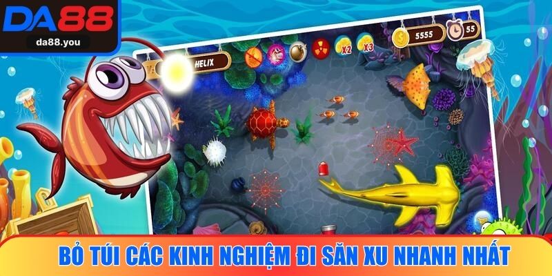 Bỏ túi các kinh nghiệm đi săn xu nhanh nhất