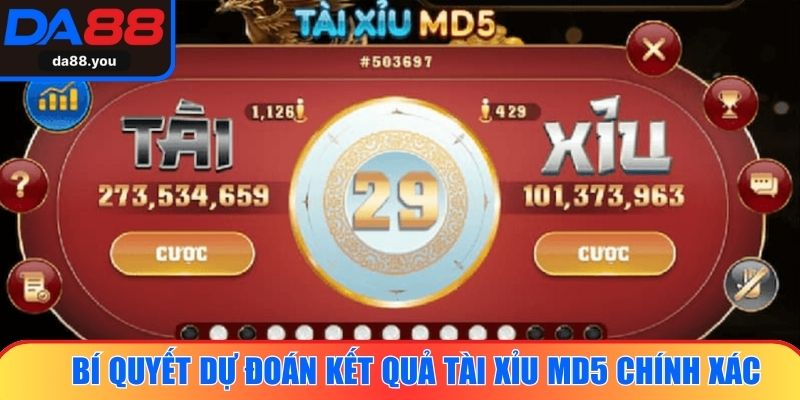  Bí quyết dự đoán kết quả Tài xỉu MD5 chính xác