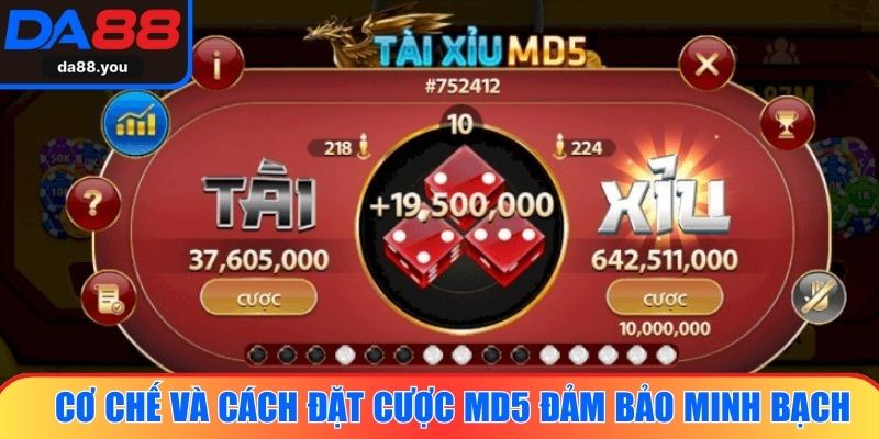 Cơ chế và cách đặt cược MD5 đảm bảo minh bạch